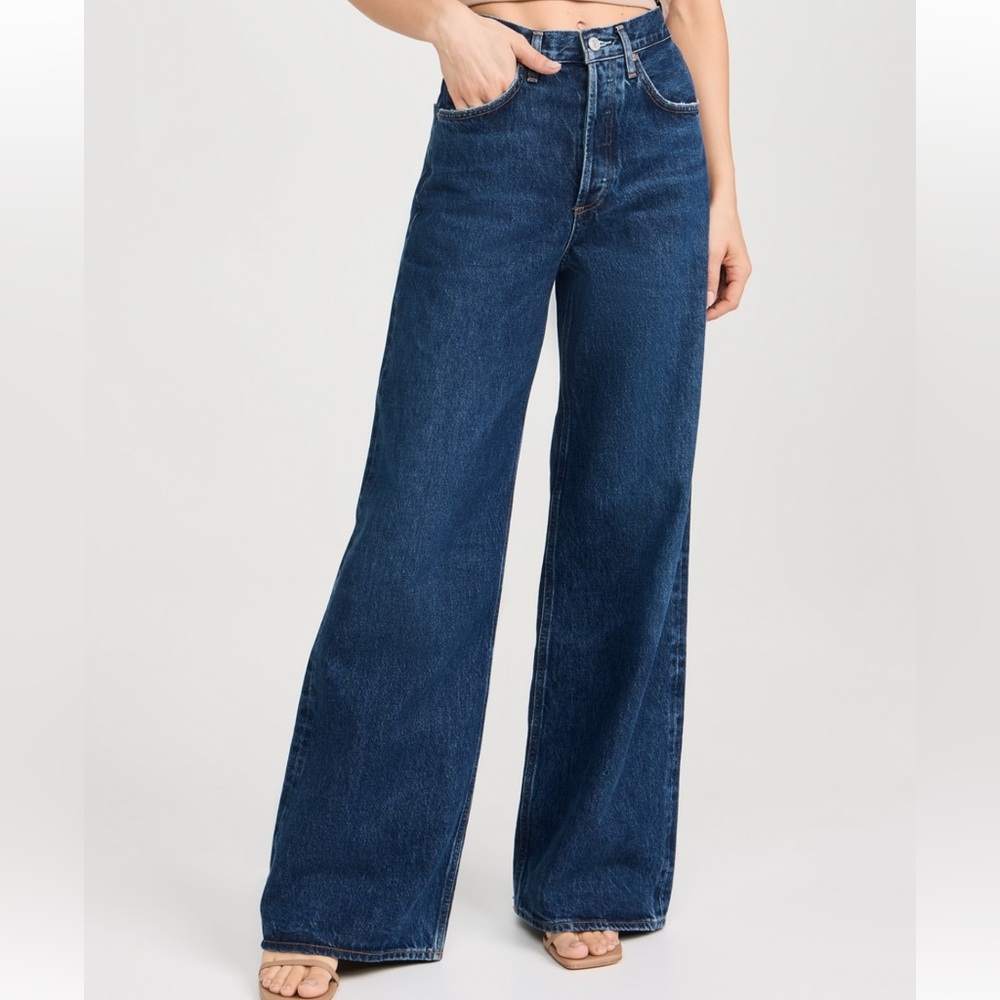 Agolde Dame Jean High Rise Wode Leg